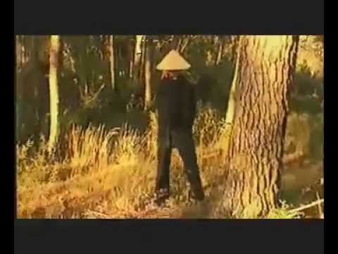 Morzy l'oeil - Kung Fu Bros