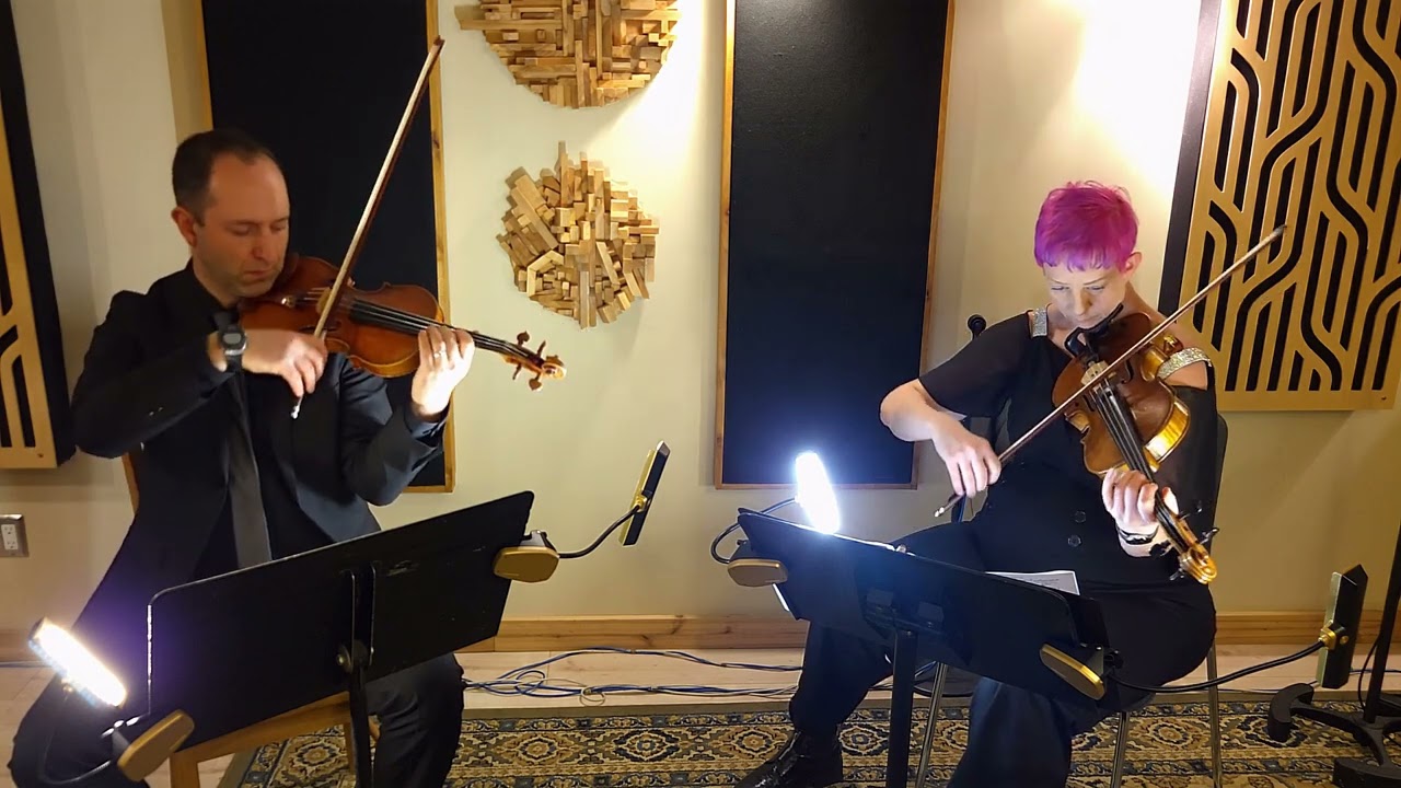 Promotional video thumbnail 6 for Sonorous Strings
