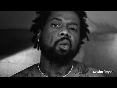 Conway The Machine & T.I & Novel - Wild Chapters - HQ