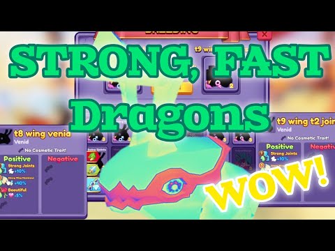 STATS traits! Breed FAST, STRONG Dragons for RACING and PVP! (Dragon Adventures, Roblox)