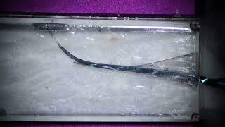 Bypassing a ledge into the original canal with T-mode from SGP to REC/Tモードでレッジのバイパス形成