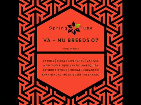 Maentrao-Summer E'en (Original Mix) [Preview Cut]