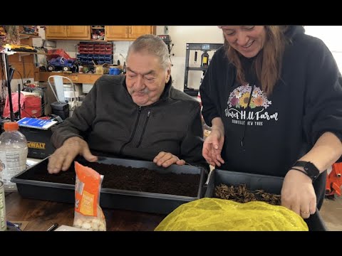 Starting Ranunculus, Anemone & Seeds with Gramp : Flower Hill Farm