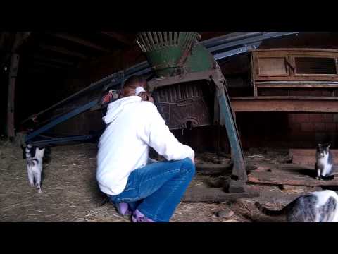 Video 3 aus  Schmidts Ferienhof - Tierisch guter Urlaub im Herzen Deutschlands