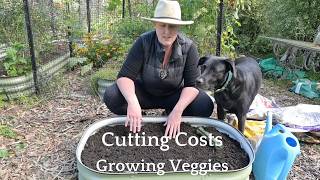 Cost cutting ideas for growing your own food.