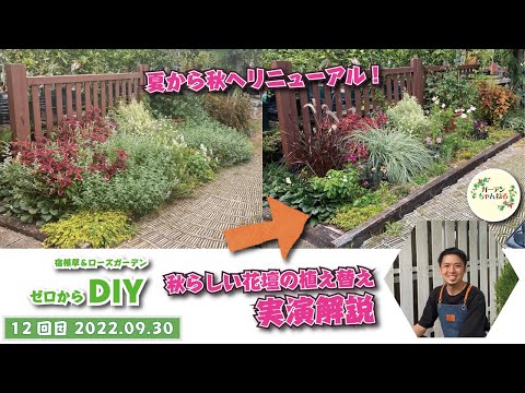 いつ、どのように葵を植えるのですか？ボーナス: メンテナンスのヒント  庭園