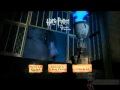 Geração Potter DVD Harry Potter E O Cálice De Fogo WIDESCREEN