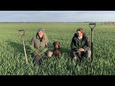 Aktuelle Situation: Gerste und Weizen April 2021