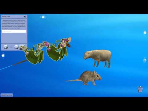 Genetics - Mendel's Pea Plants (Studio)