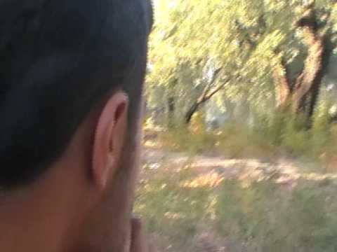 اشتباكات بين عناصر كتيبة ذو الفقار وقوات النظام في العلاني