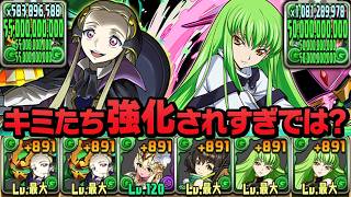 V.V.とC.C.のループが既存強化と思えないくらい強かった件【パズドラ】