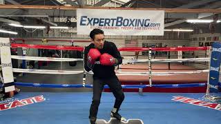 Southpaw Uppercut - punch technique