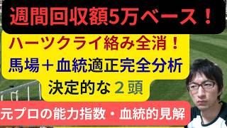 [競馬/能力指数 ]宝塚記念 枠順確定 クロワデュノール ミュージアムマイル  血統 メイショウタバル 馬場適正