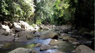 preview picture of video 'El rio frente a casa de titi Myrna en el bosque El Real en Patillas.'