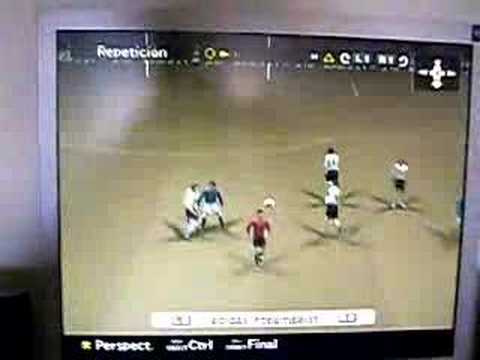 golazo de camoranesi