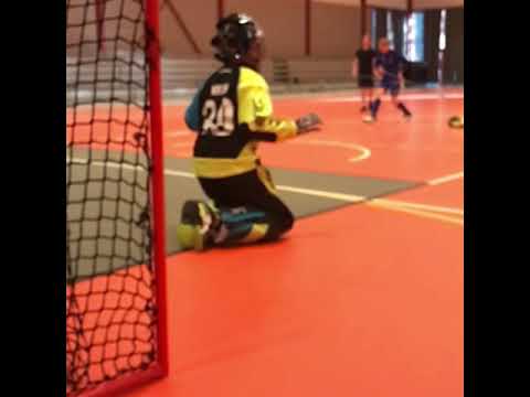 Basic floorball goalie practice