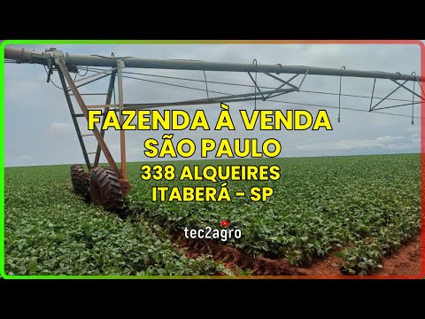 🌱 338 ALQ ITABERÁ - FAZENDA À VENDA EM SÃO PAULO [🌱DUPLA APTIDÃO] #fazenda #tec2agro #agro