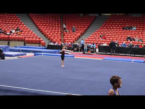 Edgar C 6 years boys gymnastic Level 3 Floor Windy City 2022