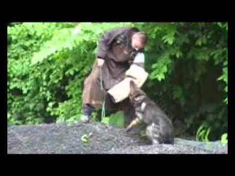 CYKO AYKMAR - DEFENCE 5/2012 - helper : Marek Černý