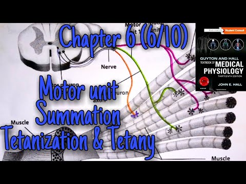 Motor unit, tetanization, tetany - chapter 6 (part 6/10) - Guyton and hall text book of physiology.