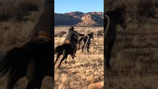 Download lagu Catch him! #cowboy #rope #mustanghorse #horse #fyp mp3