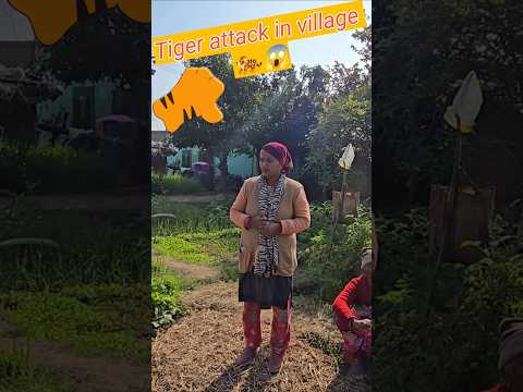 Tiger attack in the village 🐅 #nature #tigerattack