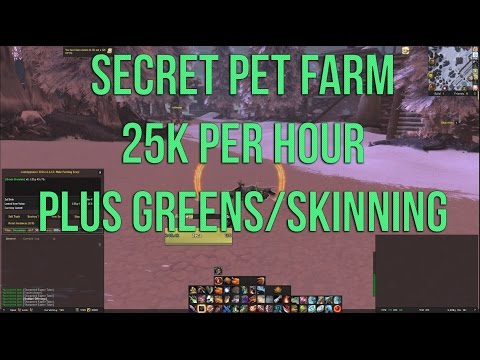 25-50K PER HOUR SECRET PET FARM | PLUS SKINNING AND TRANSMOG ITEMS