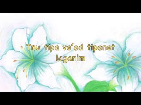 77 - Pizmon Layakinton