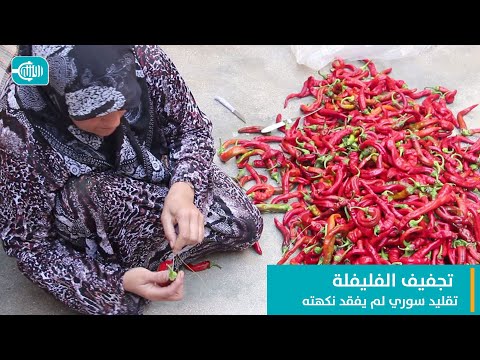 تجفيف الفليفلة تقليد سوري لم يفقد نكهته