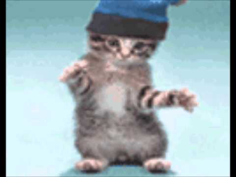 Dj Selector C & Mc Impulse @ Resistance.