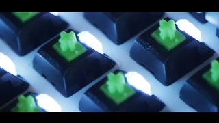 Video thumbnail for Razer Blackwidow Tournament Edition Chroma Review by ConfidentMindset