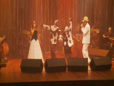 Noite Dos Mascarados video