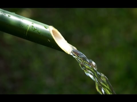 BAMBOO WATER FOUNTAIN nature sounds / som de fonte d'água natural