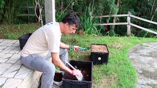 Miniatura do vídeo