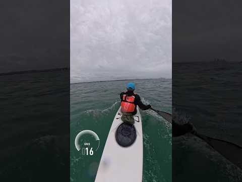 Surfski fun! #surfski #kayaking #newzealand #insta360x4
