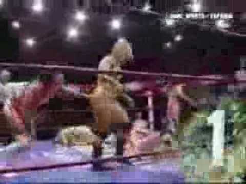 "Dark Angel" Sarah Stock