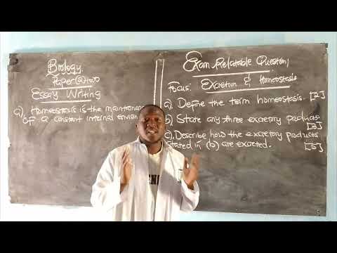 2024 Biology P2 Essay Writing // Excretion & Homeostasis