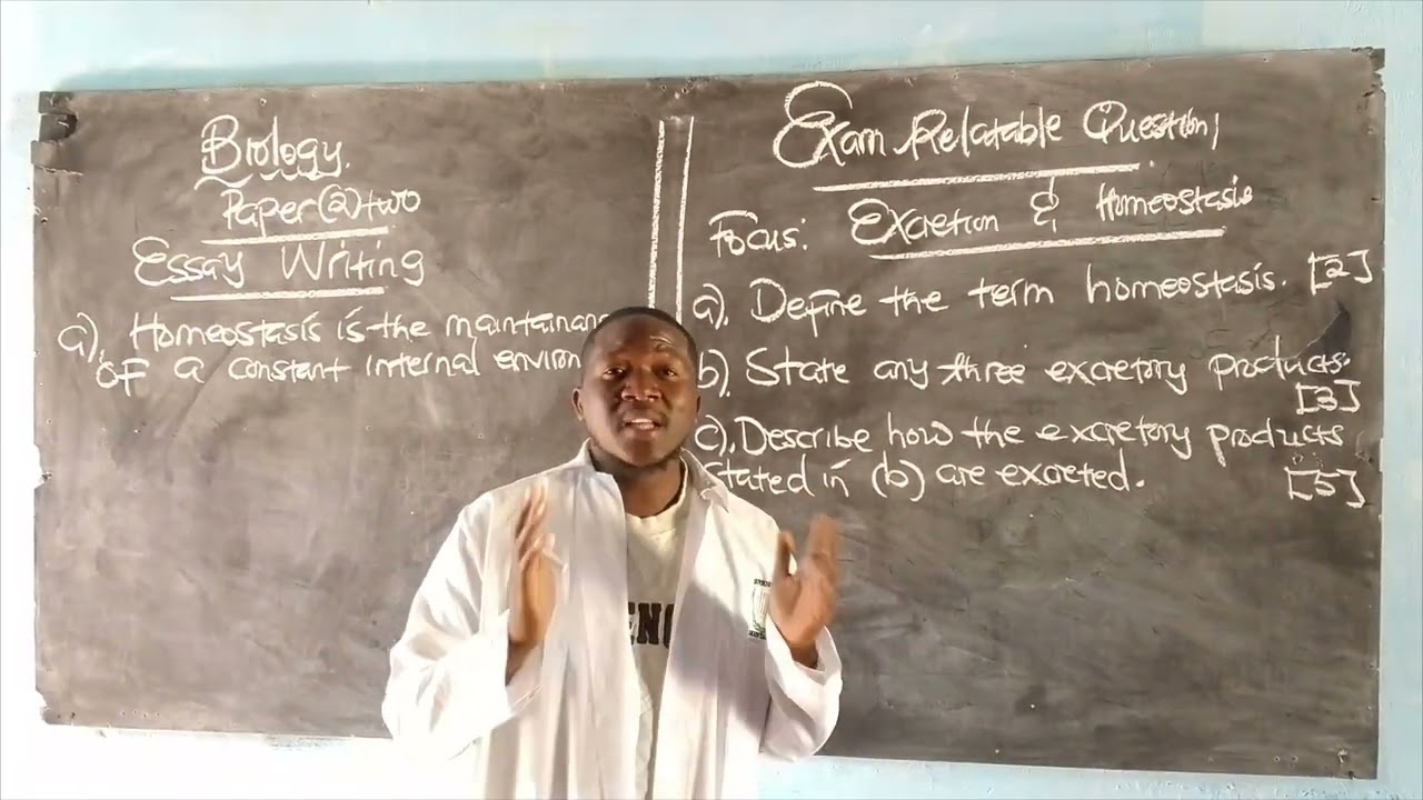 2024 Biology P2 Essay Writing // Excretion & Homeostasis