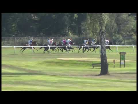 KV, 22. 9. 2019, 5. dostih - 32.Cena Jockey Clubu ČR