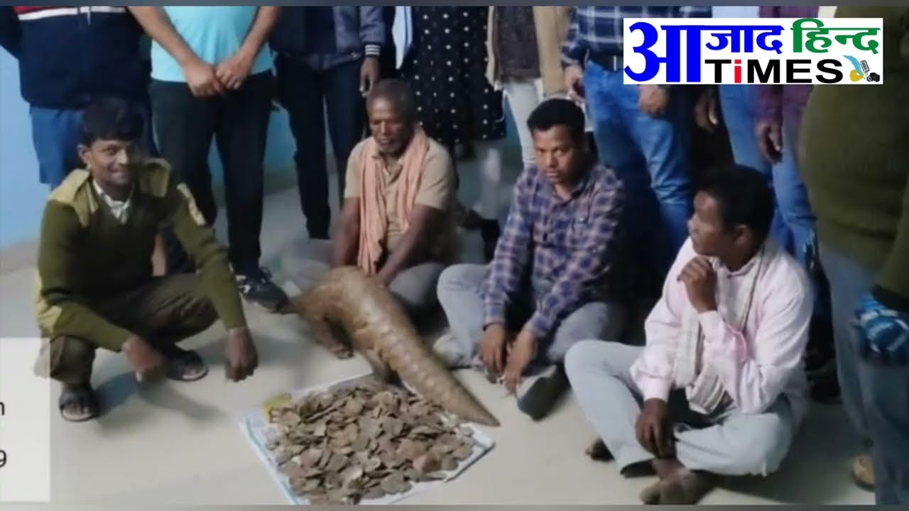 Video दुर्लभ वन्य प्राणी पैंगोलिन के साथ तीन तस्कर गिरफ्तार