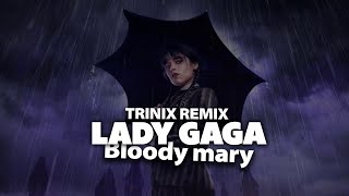 Musik-Video-Miniaturansicht zu Bloody Mary Songtext von Trinix Remix