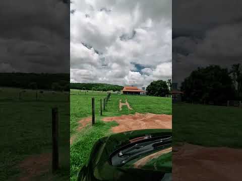 Jandaia Goiás #motivacional