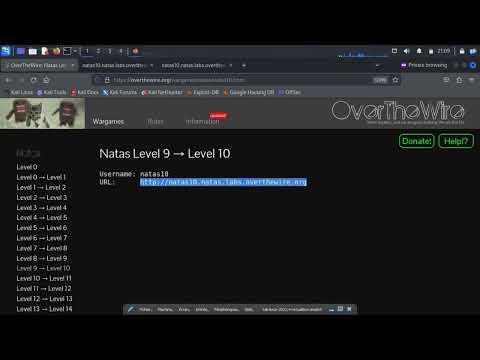 Cracking the Code: OverTheWire Natas Level 10 Walkthrough (Beginner Friendly)