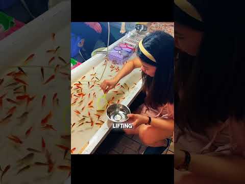 why this paper net game is do hard #shorts