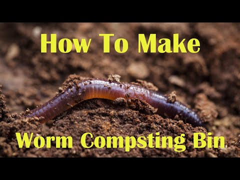 DIY Worm Compost Bin