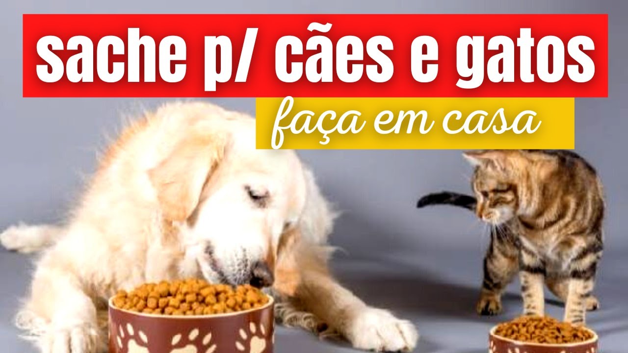 COMO FAZER SACHE CASEIRO NATURAL  PARA CACHORRO E GATO  GASTANDO POUCO E RENDENDO MUITO