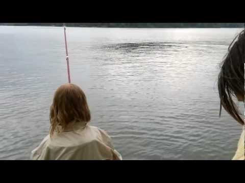 Orlík Radava 2012 pokračování