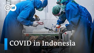 Download lagu Varian Delta sebabkan rekor tertinggi kasus dan kematian COVID di Indonesia | DW News mp3 Download lagu Varian Delta sebabkan rekor tertinggi kasus dan kematian COVID di Indonesia | DW News mp3