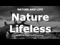Process Philosophy: Nature Lifeless (Part 1) by Alfred North Whitehead