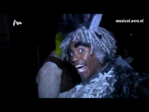 Musical Sing-a-Long 2012 Backstage - De Show